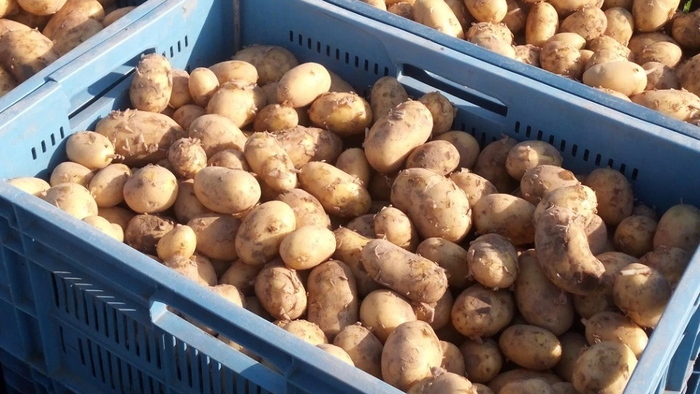 Aktuální informace Klička Osík