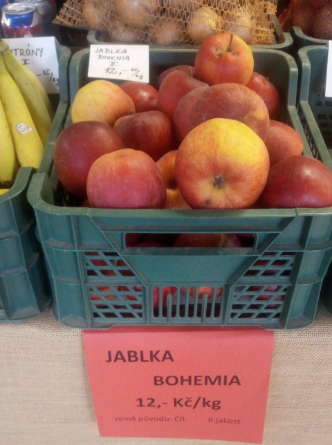 Aktuální nabídka Klička Osík